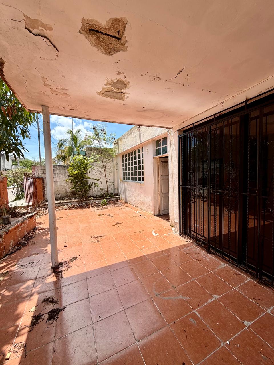 Patio area with terracotta tiles peeling ceiling patches and a metal gate sunny outdoor space with a few plants along a white wall