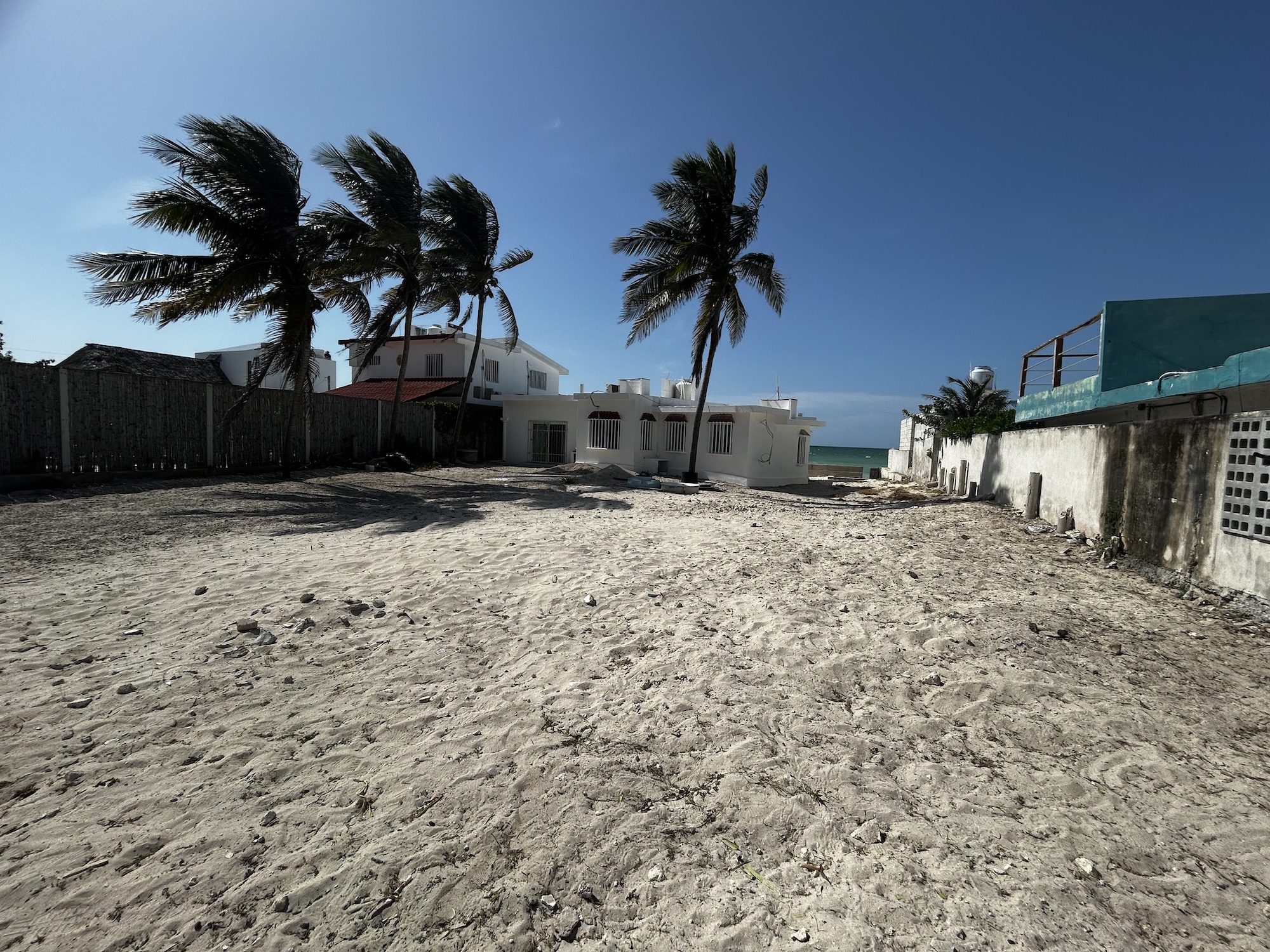 Sunny beach scene with swaying palm trees and white coastal houses along a fence blue sky and ocean in the distance